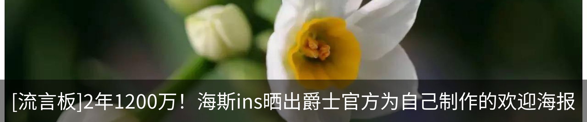 新闻动态